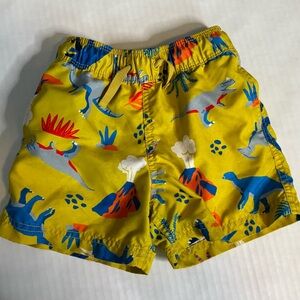 Hanna Andersson Yellow Dinosaur Print Kids Shorts Swim Trunks 2T